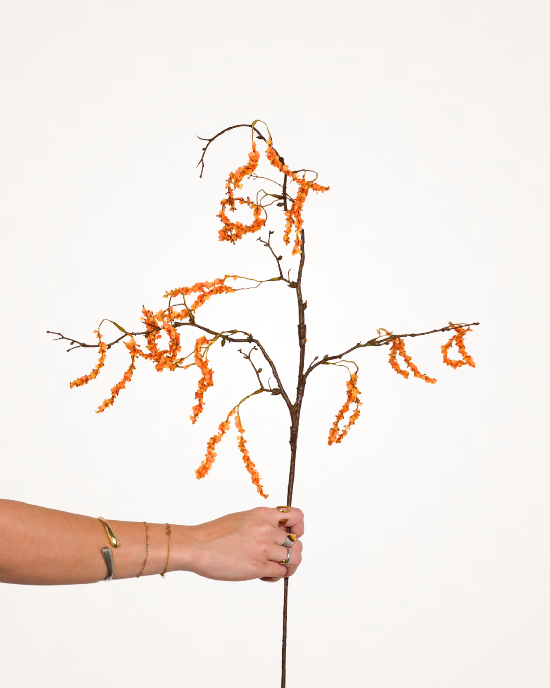 Amaranthus tak oranje
