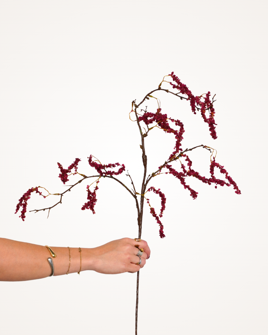 Amaranthus tak bordeaux