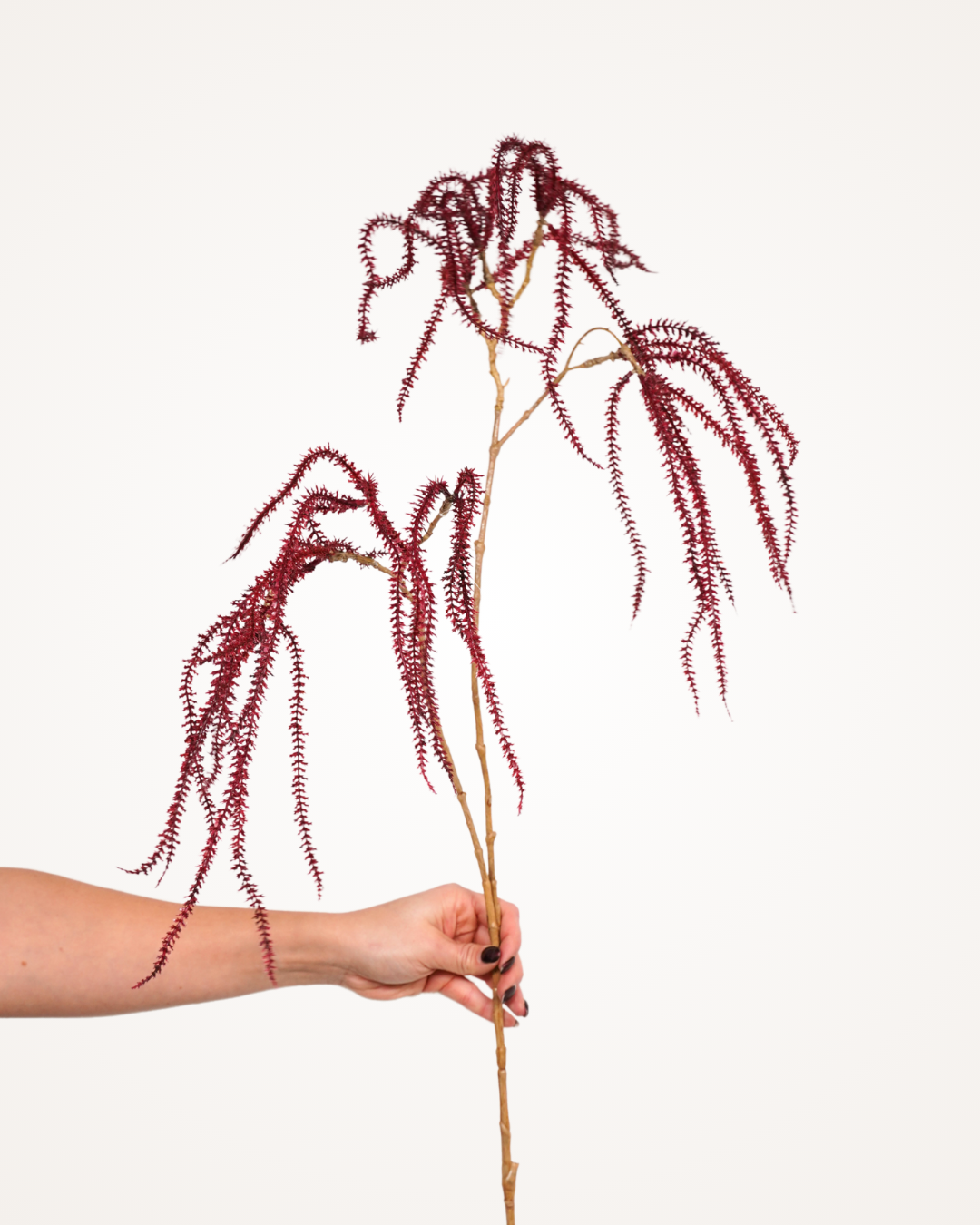 Amaranthus tak XL bordeaux