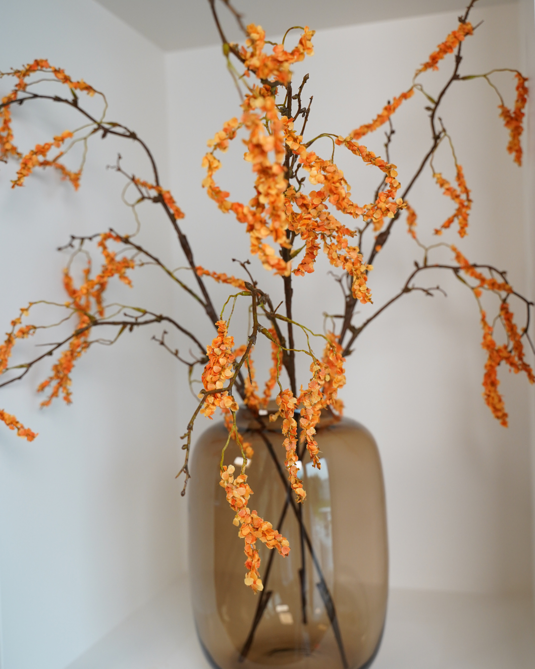 Amaranthus tak oranje