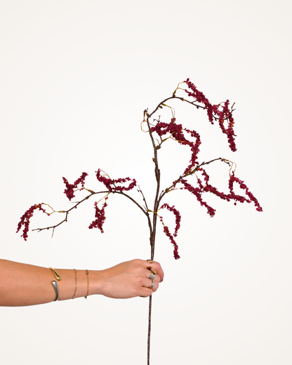 Amaranthus tak bordeaux