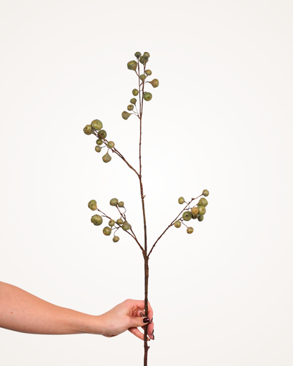 Oak fruit spray set groen