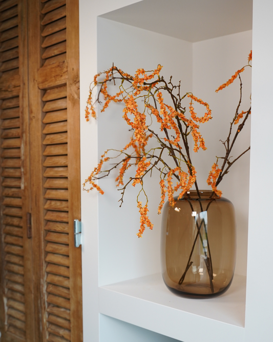 Amaranthus tak oranje