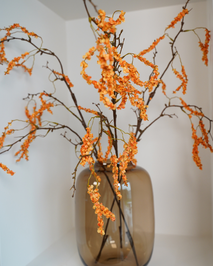 Amaranthus tak oranje