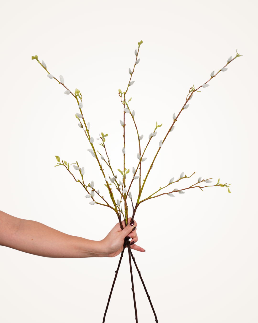 Pussy willlow set wit