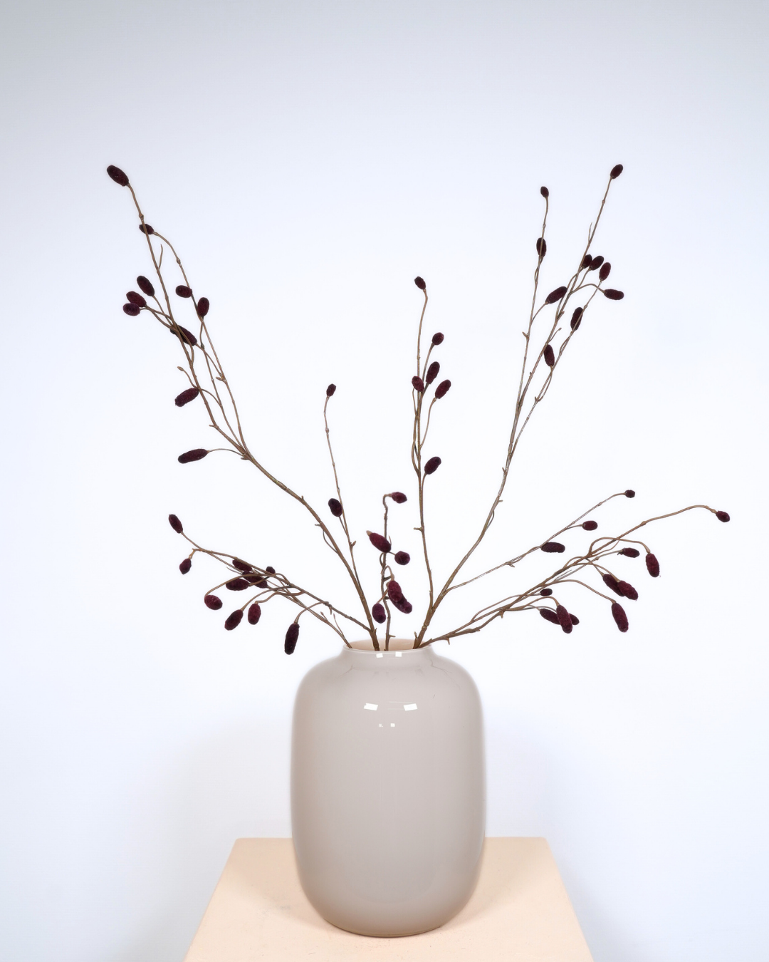 Sanguisorba spray bordeaux