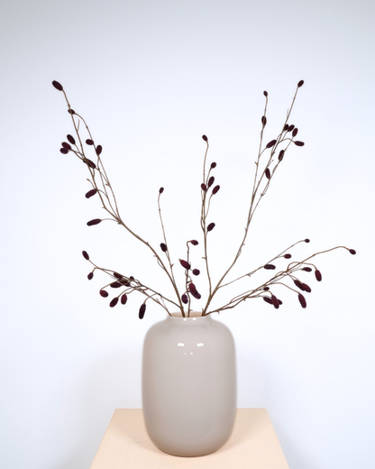 Sanguisorba spray bordeaux