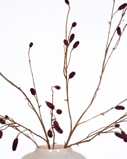 Sanguisorba spray bordeaux