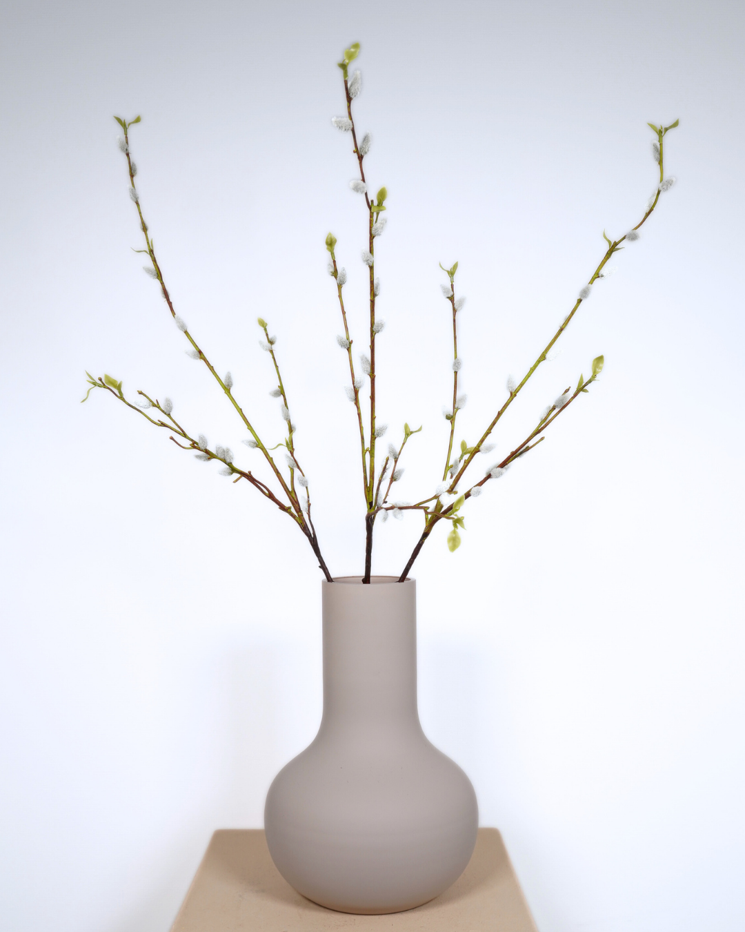 Pussy willlow set wit