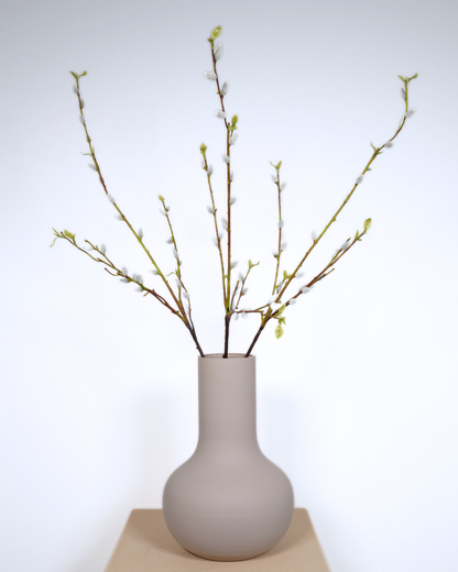 Pussy willlow set wit