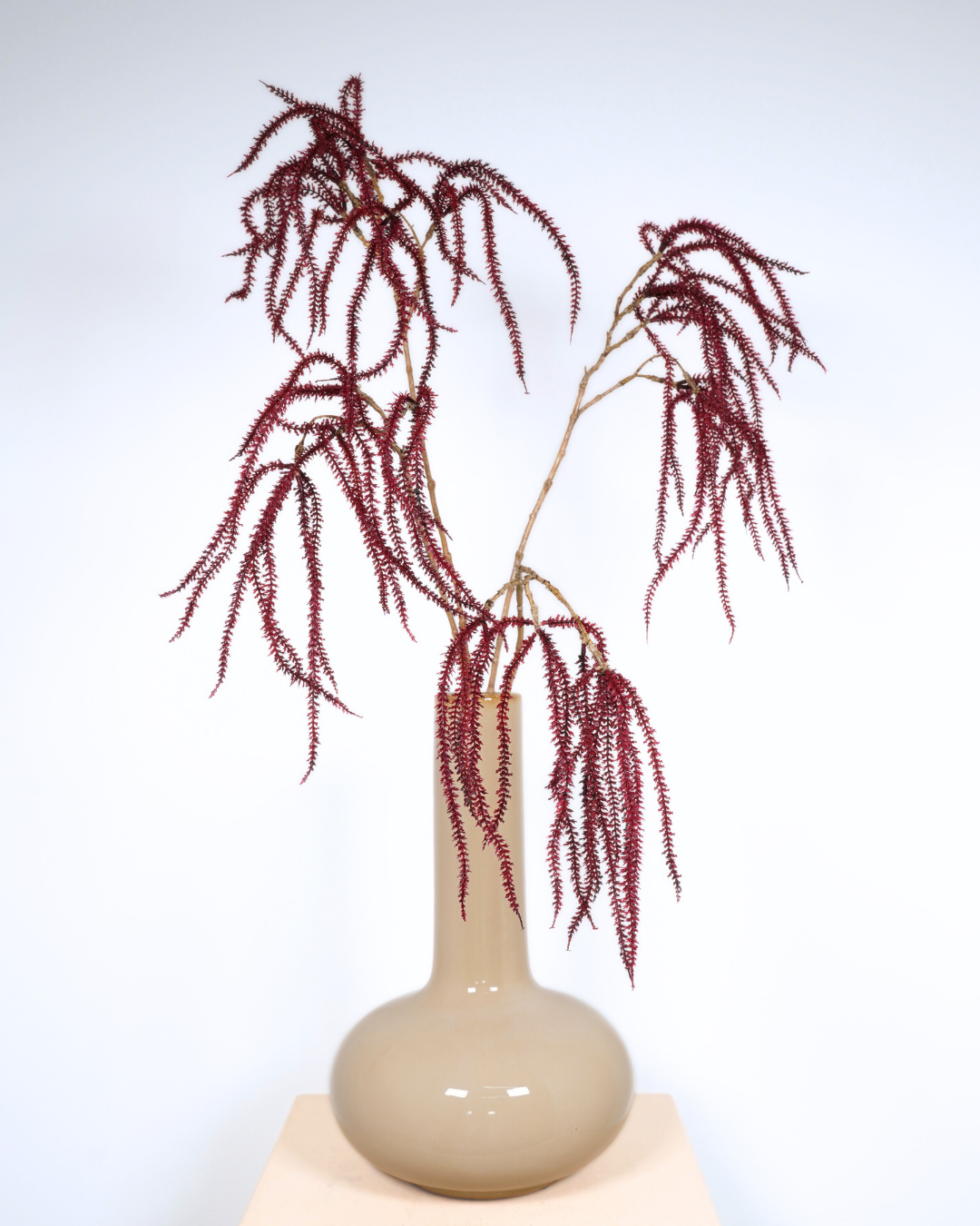 Amaranthus tak XL bordeaux
