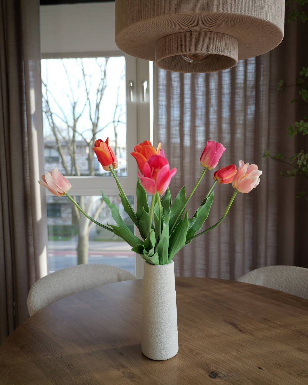Tulpen Frans