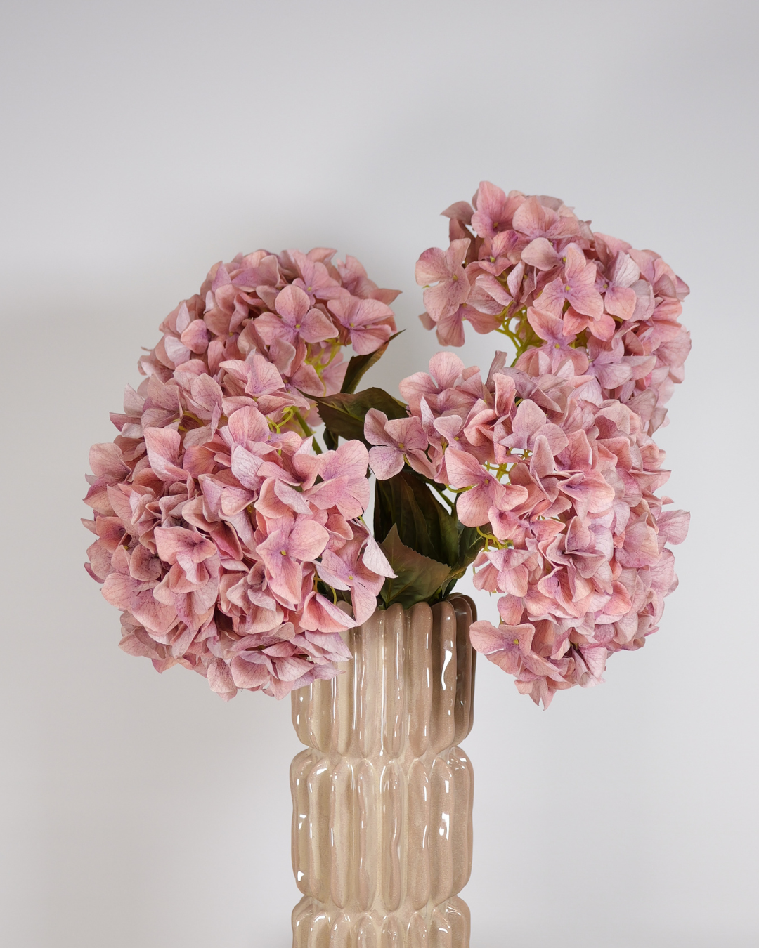 Hortensia oud roze
