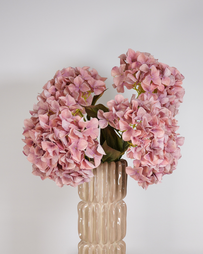 Hortensia oud roze