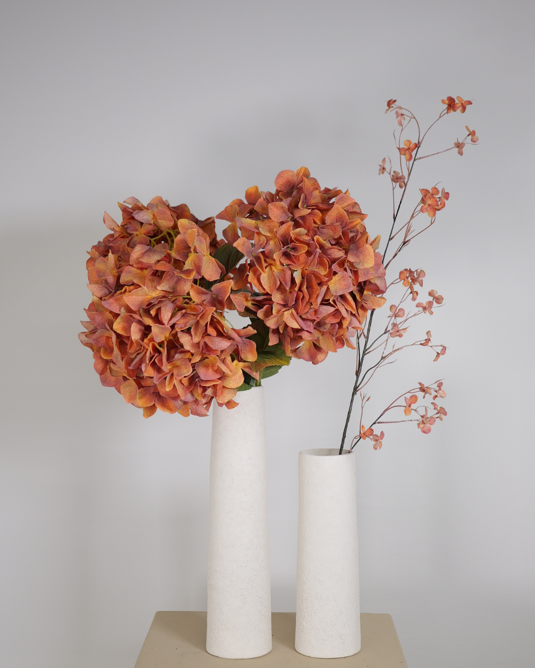 Hortensia koraal