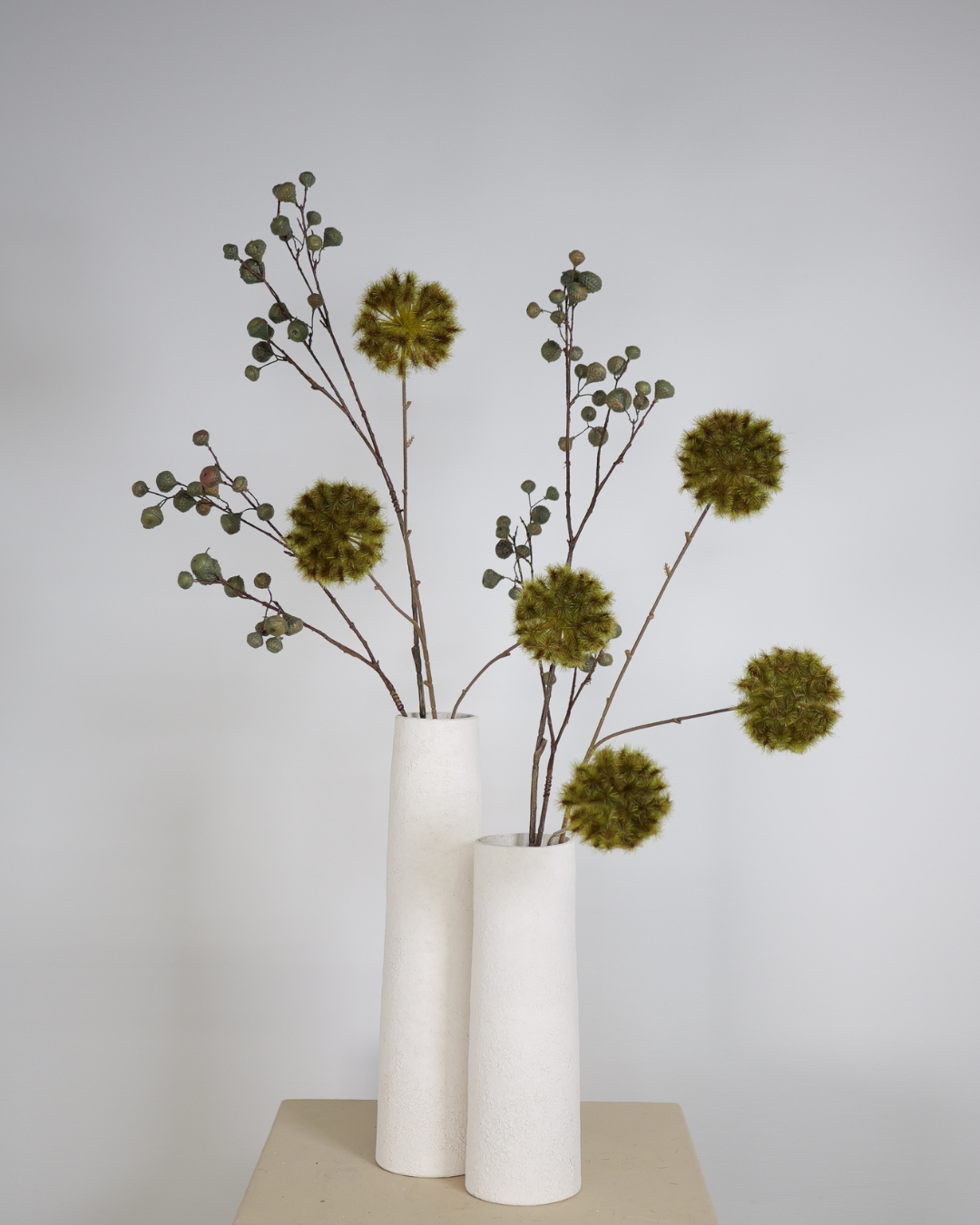 Tak Dandelion