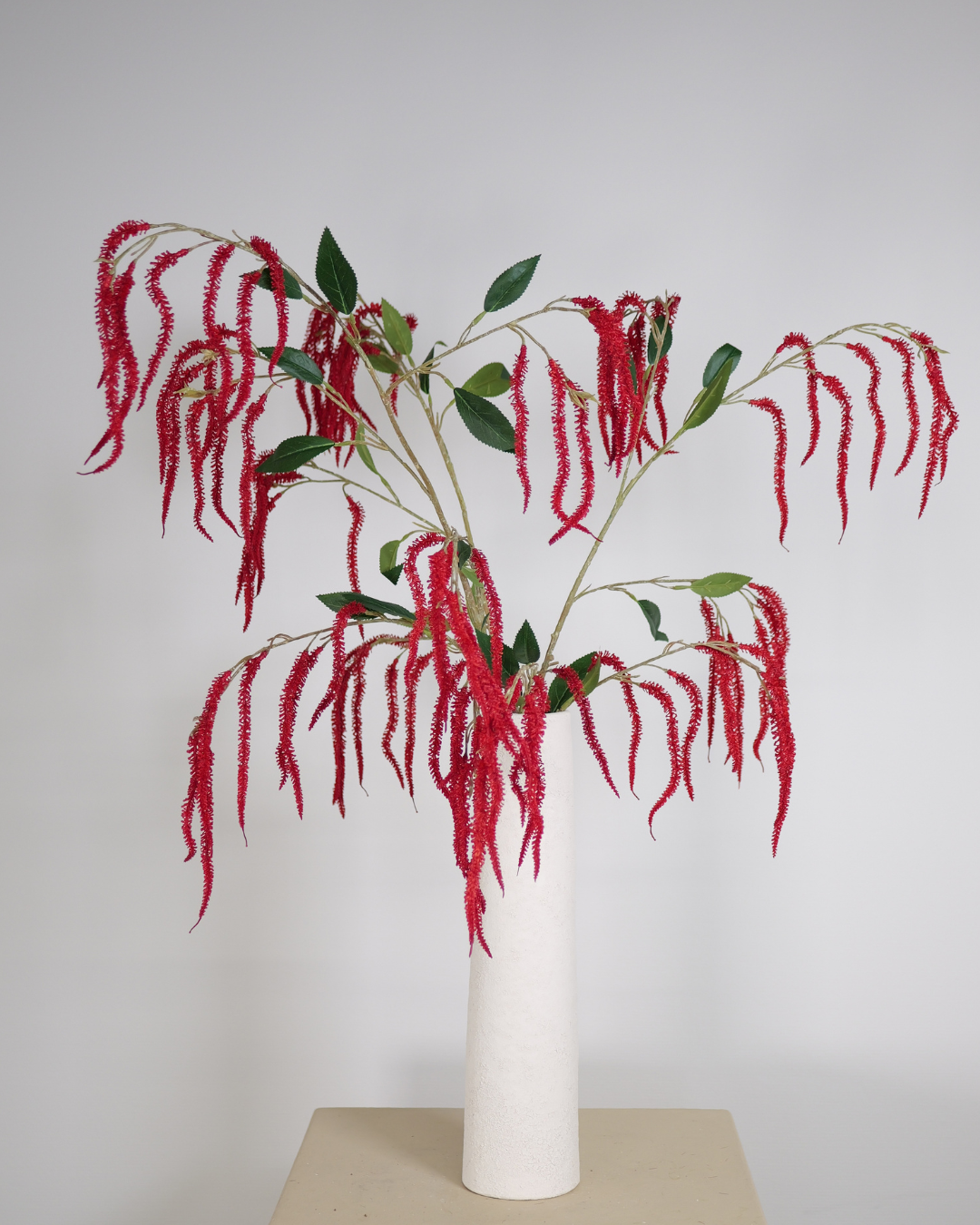 Tak amaranthus rood