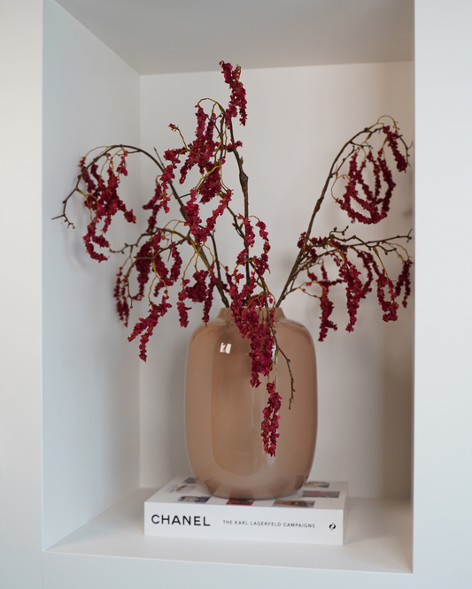 Amaranthus tak bordeaux