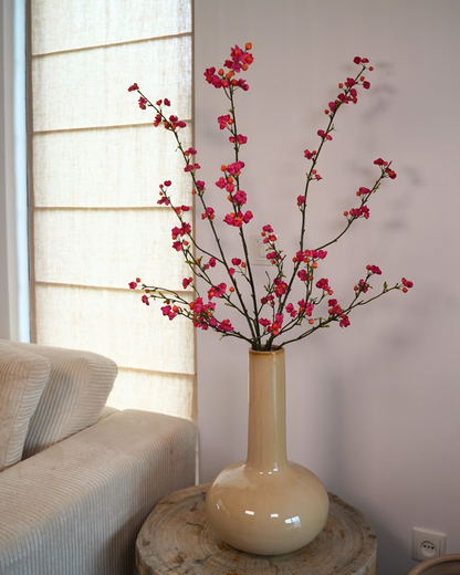 Euonymus tak roze oranje