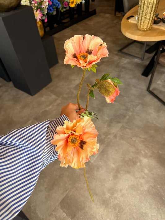 Poppy spray  peach